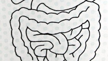 Causes-of-Different-Digestive-Problems