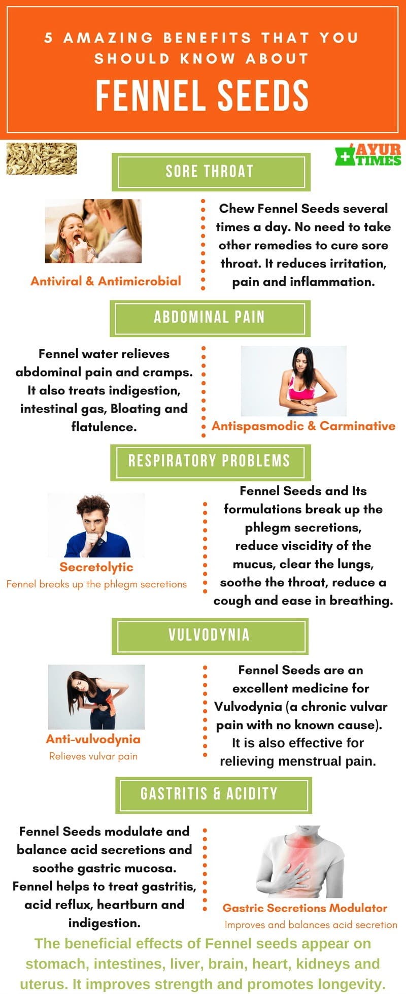 Fennel Seeds Benefits