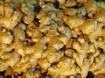 Ginger warnings