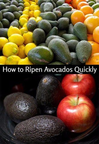 How to Ripen Avocados Faster — The Bag & Fruit Method