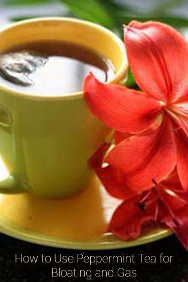 How to Use Peppermint Tea for Bloating and Gas Fresh peppermint tea