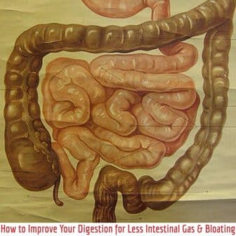Improving Your Digestion for Less Intestinal Gas & Bloating Improving Your Digestion for Less Intestinal Gas & Bloating