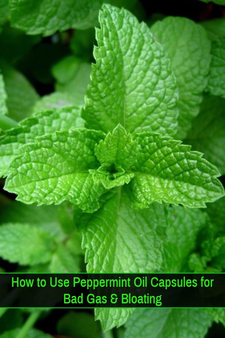 Peppermint Oil Gas And Bloating Remedy