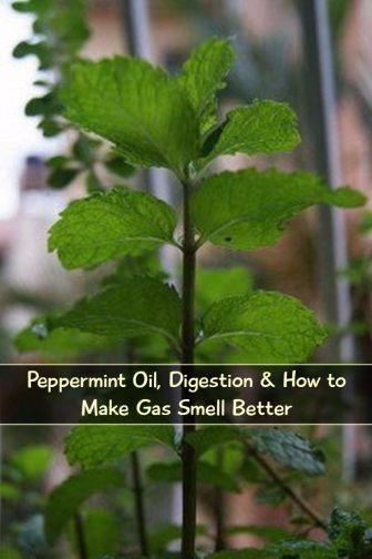 Peppermint Oil, Digestion & How to Make Gas Smell Better