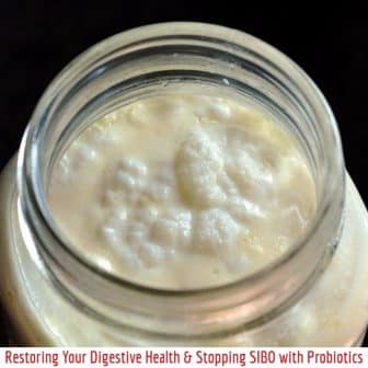 Restoring Your Digestive Health & Stopping SIBO with Probiotics Restoring Your Digestive Health & Stopping SIBO with Probiotics