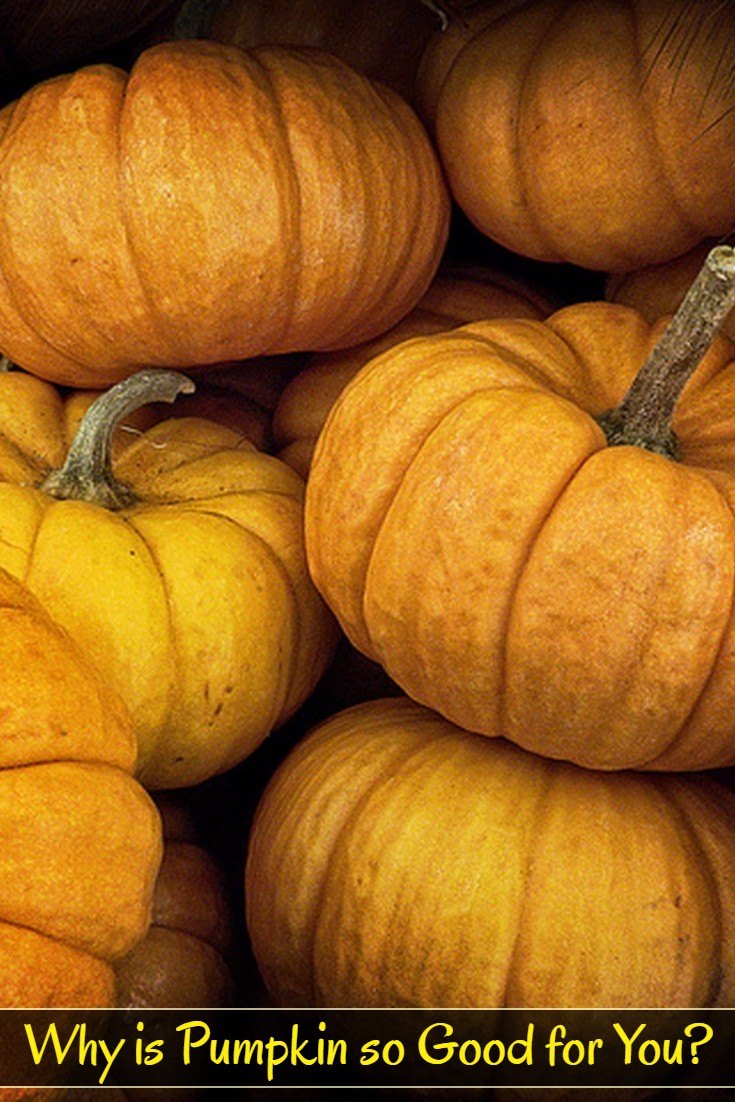 Why is Pumpkin so Healthy? Why is Pumpkin so Healthy for You