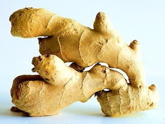 Zingiber-officinale-acid-reflux