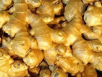 Zingiber officinale nausea remedy
